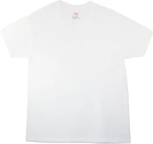 Hanes Ultimate Men's 6-Pack Best V-Neck T-Shirt