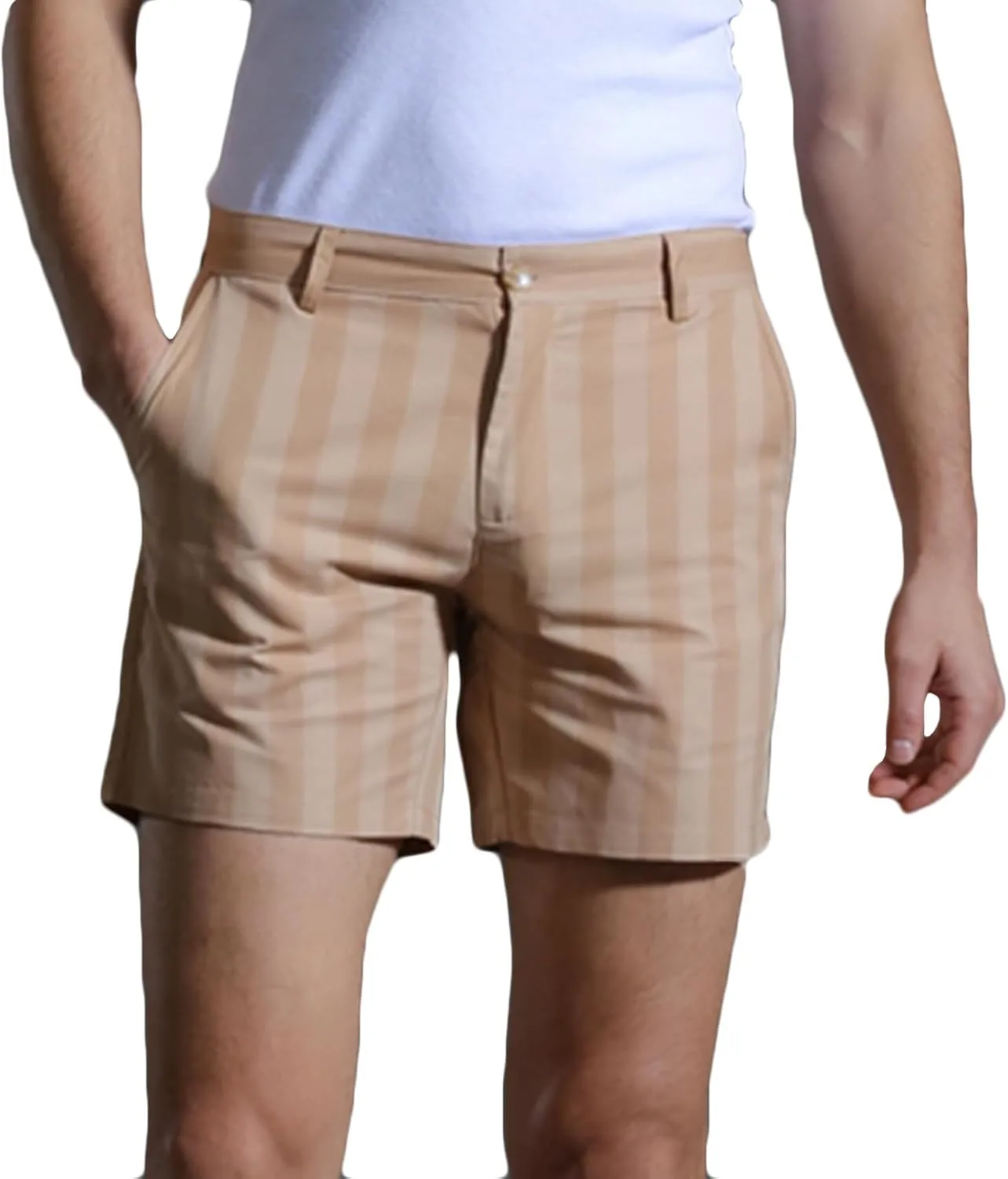 Mens Casual Striped Shorts Slim Fit 9" Inseam Chino Shorts Cotton Twill Flat Front Dress Shorts with Pockets Summer Outfits
